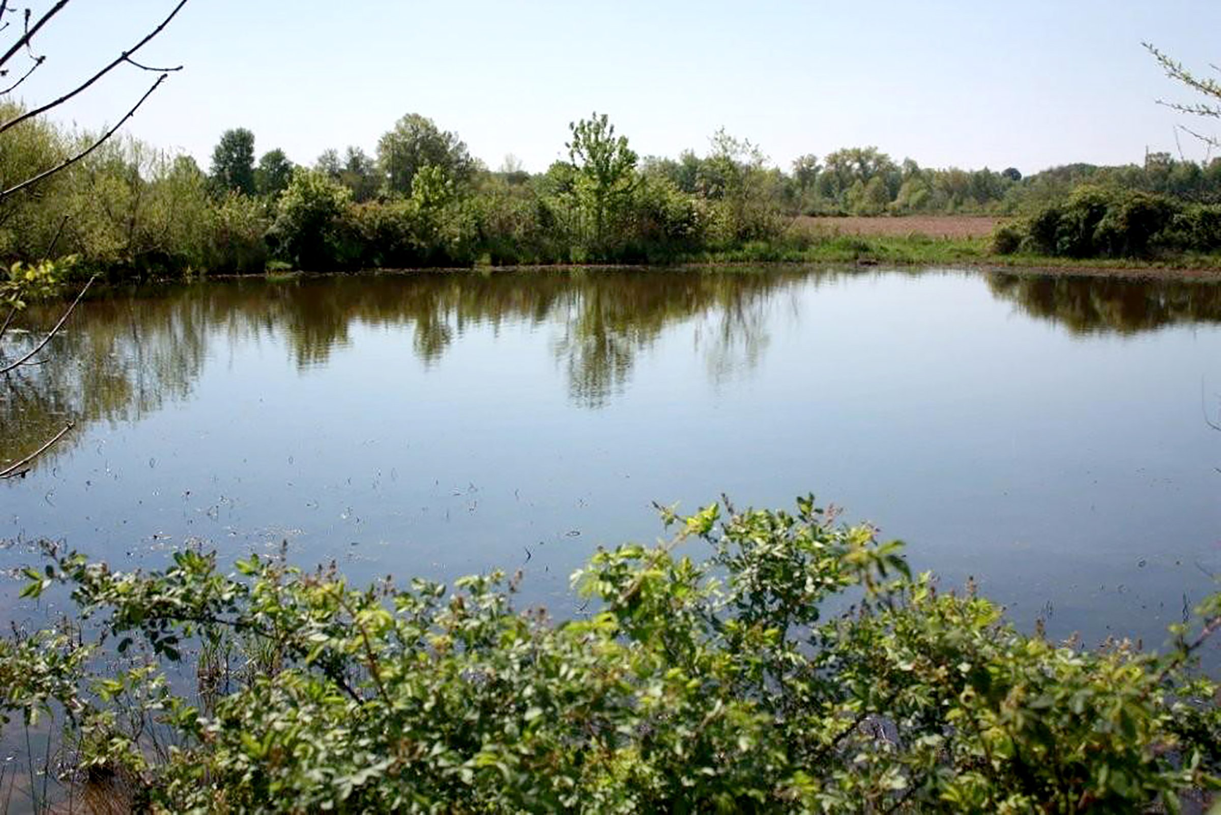 Property photo 8 - REAL ESTATE AUCTION - 126+/- ACRES OFFERED IN 4 TRACTS IN GREENE COUNTY, INDIANA